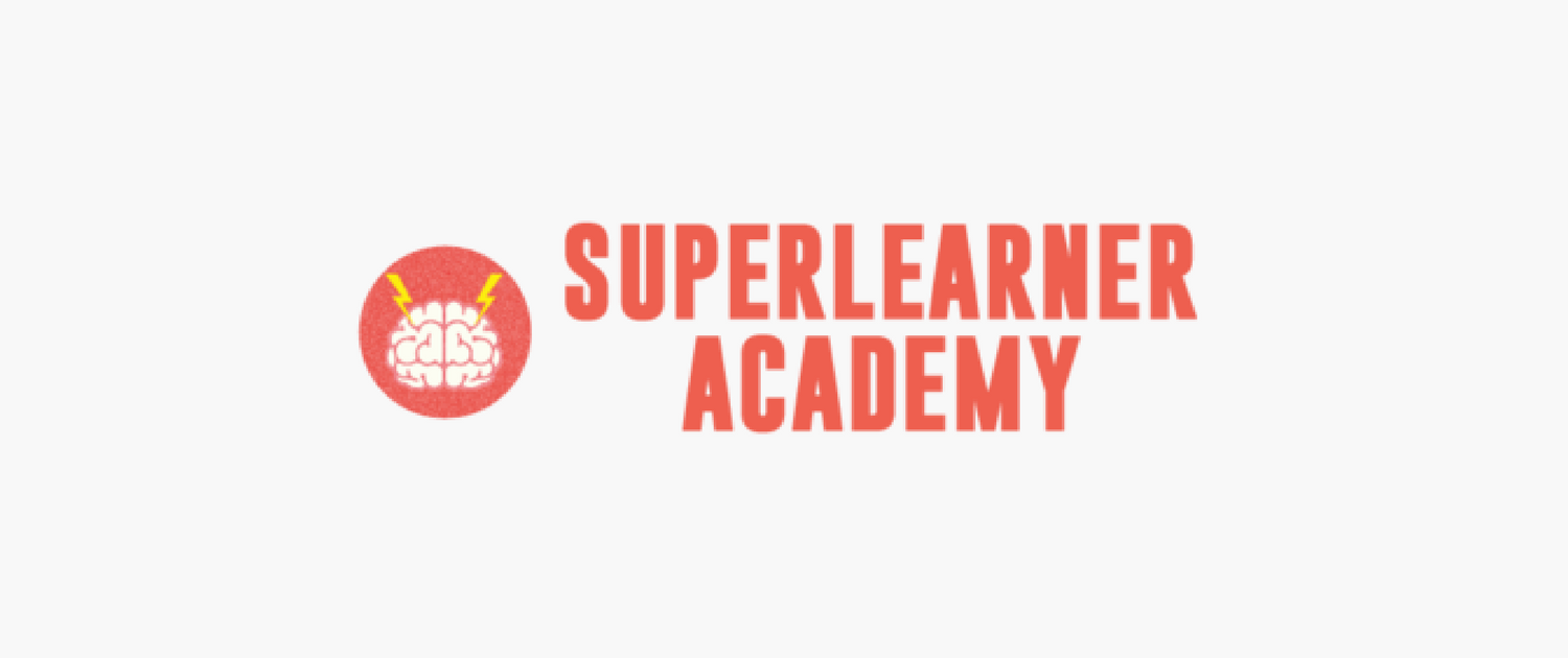 Superlearner Academy MasterClass Review - My Experience